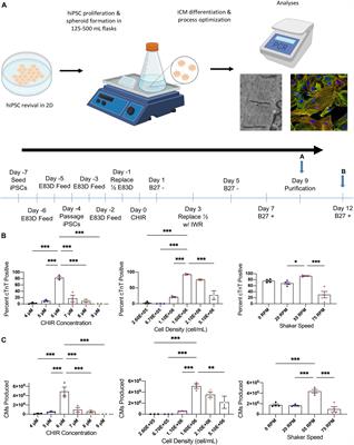 Bioreactor Suspension Culture: Differentiation and Production of Cardiomyocyte Spheroids From Human Induced Pluripotent Stem Cells